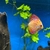 8 Stendker Discus for Tropical Fish Tank Aquarium - individually or as a group