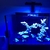 Red Sea 300XL aquarium plus complete marine setup