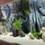 Large Fish Tank 6ft x 2ft full Tanganyika / Tropheus setup