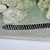 Zebra moral eel marine