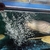 ALL NOW SOLD ALBINO AROWANA, BASS & SHBRTG ASIAN AROWANA