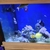 Marine tank For sale