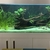 Complete (600 litre) Aquarium set-up for sale