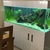 Complete (600 litre) Aquarium set-up for sale