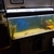 Fluval 250ltr tank sand and top ligh