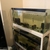 Fish tanks