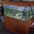 Large Fish Tank