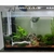 120L fish tank