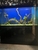 5ft Cleair aquatics tank