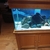 Aqua oak 3ft Tropical aquarium, full set up and fish included