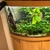 Jewel Trigon 350l fish tank only