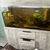 Aqua one fish tank 4ft