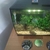 Fluval Flex 34 ltr