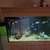 5ft ND aquatics aquarium