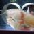 Golden Albino breeding pair of axolotl