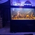 5ft cleair fish tank