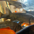 XXL BRONZE GOLDFISH - URGENT REHOMING - ALL FOR £30