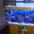 Juwel RIO 360 Marine Tank