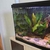 Closing down tanks: Equipment & Aquarium for sale